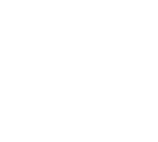 Diann Bzar Logo
